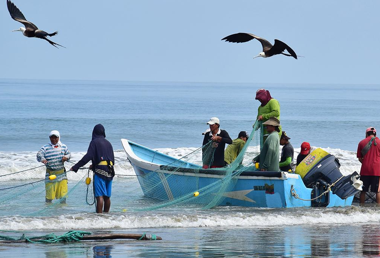 sector pesquero manabi