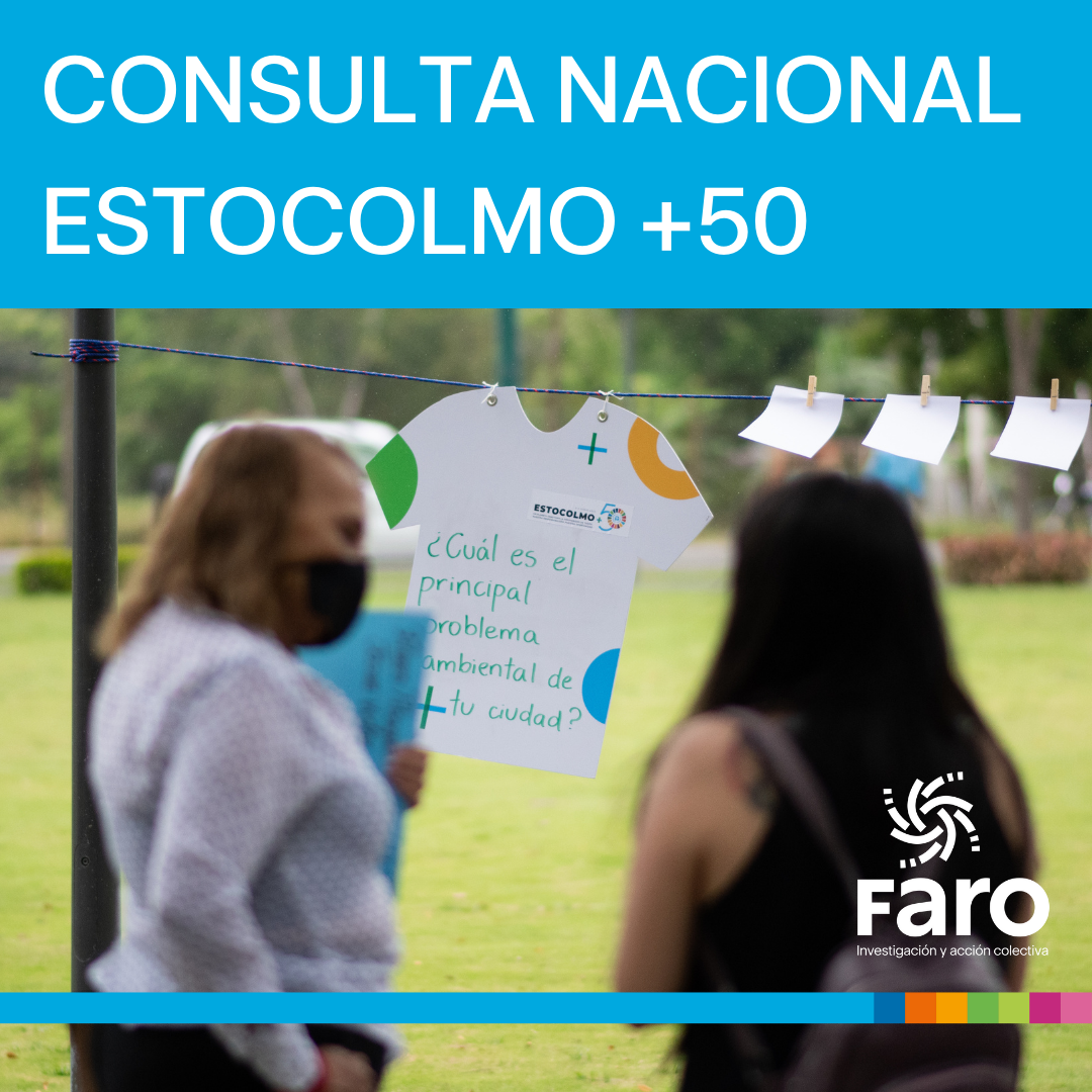 Consulta nacional por el ambiente